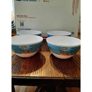 Lot 4 Evolution Sakura Melamine Summer Beach Lake Soup Cereal Bowls S Vassileva